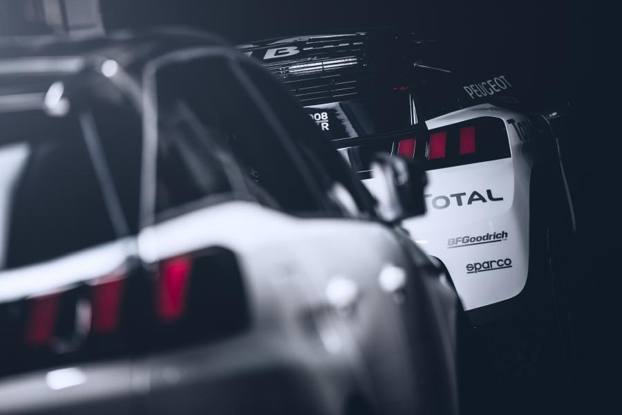Детали экстерьера Peugeot 3008 DKR 2016 года  (фото 19 из 25)
